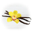 vanilla bourbon