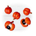 guarana
